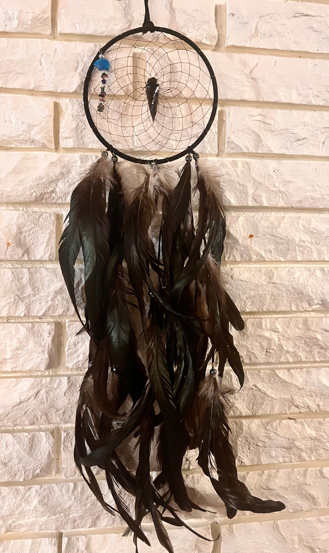 photo of the Bear Dream Web