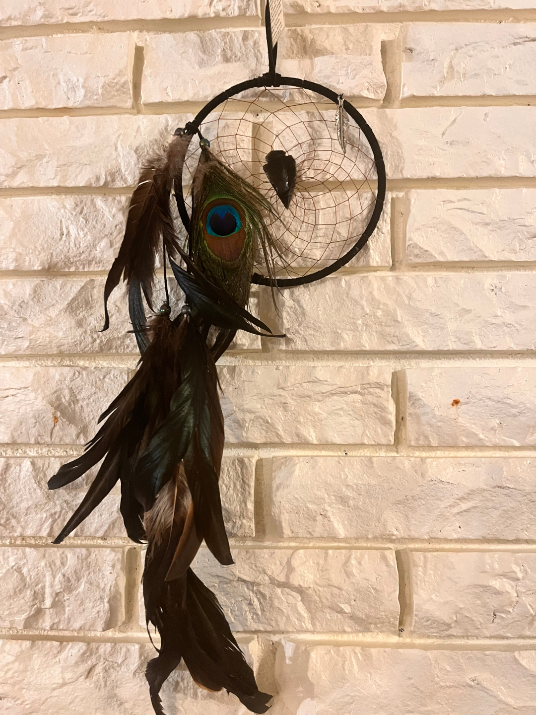 photo of the Peacock Dream